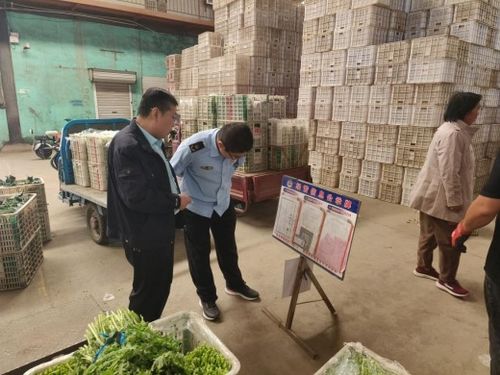 強化源頭管控，守護百姓餐桌——萊陽市開展農產品批發市場專項監督檢查